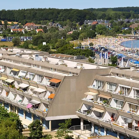 Seestern Schilksee